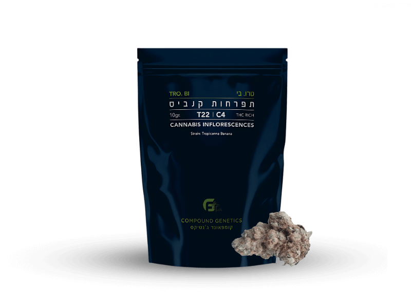 קנאביס רפואי תפרחת טרו. בי - T22/C4 - Tro.B גרין פילדס יום\לילה - היברידי