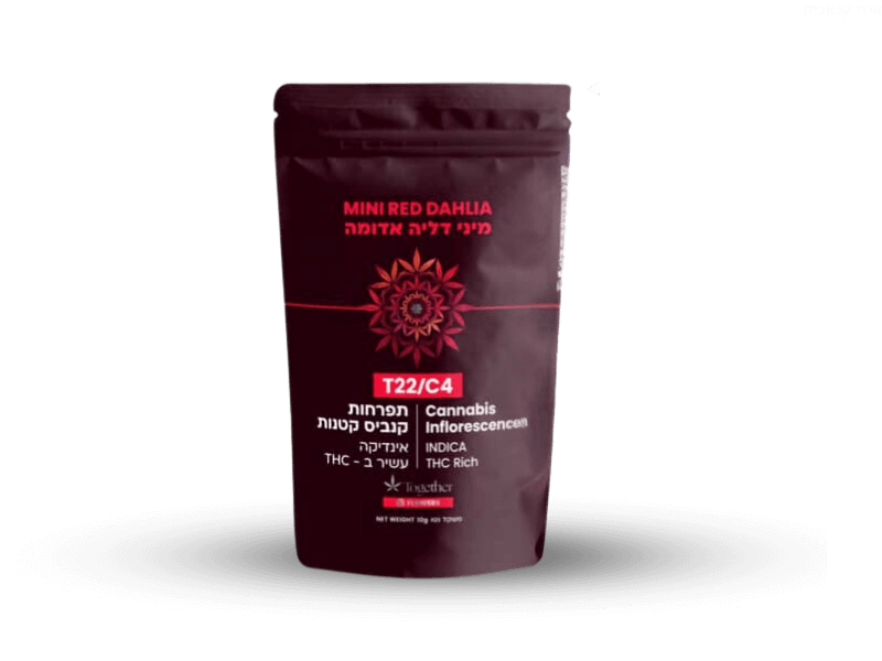 קנאביס רפואי תפרחת דליה אדומה  מיני  - T22/C4 - Red Dahlia Mini טוגדר פארמה לילה - אינדיקה