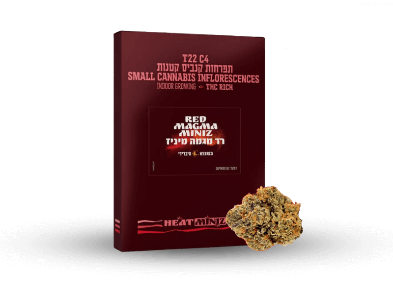 קנאביס רפואי תפרחת רד מגמה מיניז - T22/C4 - Red Magma Miniz בזלת פארמה יום\לילה - היברידי