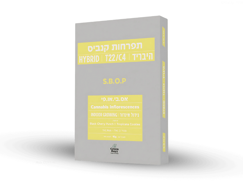 קנאביס רפואי תפרחת אס.בי.או.פי - T22/C4 - S.B.O.P גרין בויז יום\לילה - היברידי