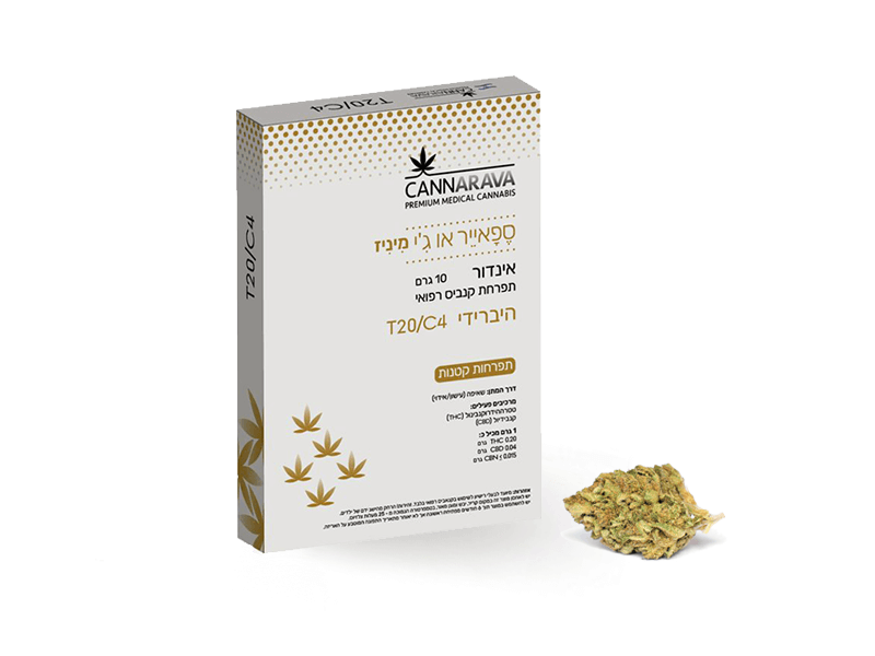 קנאביס רפואי תפרחת ספאייר או ג'י 2 מיני - T22/C4 - Sapphire OG 2 Mini בלס פארמה מדיקל לילה - אינדיקה