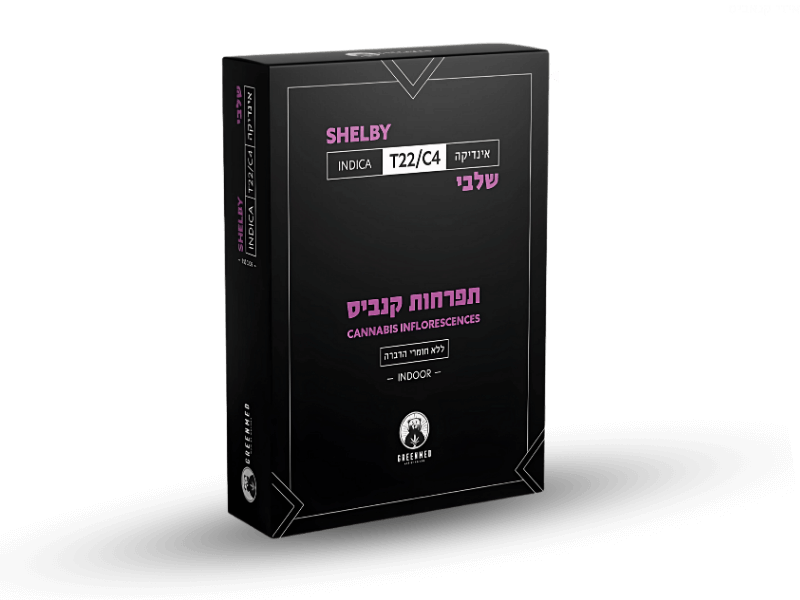 קנאביס רפואי תפרחת שלבי - T22/C4 - Shelby גרינמד לילה - אינדיקה