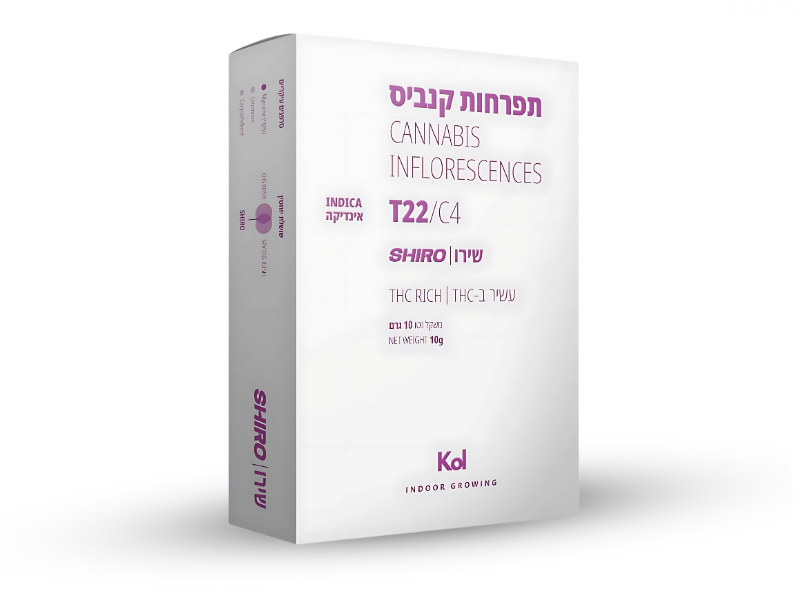 קנאביס רפואי תפרחת שירו - T22/C4 - Shiro קול מדיקל לילה - אינדיקה
