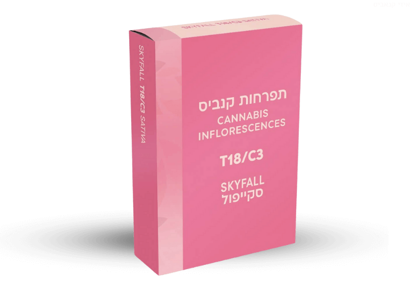 קנאביס רפואי תפרחת סקייפול - T18/C3 - Skyfall תיקון עולם יום - סאטיבה