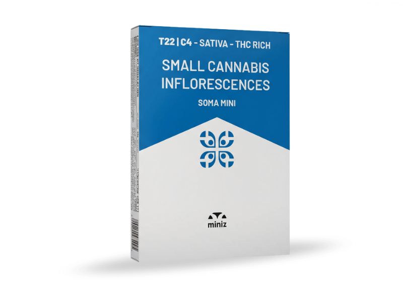 קנאביס רפואי תפרחת סומה מיני - T22/C4 - Soma Mini קנדוק יום - סאטיבה