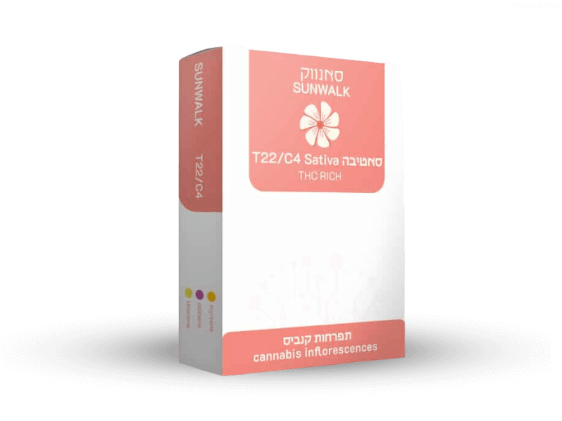 קנאביס רפואי תפרחת סאנווק - T22/C4 - Sunwalk איי איי די קאן יום - סאטיבה