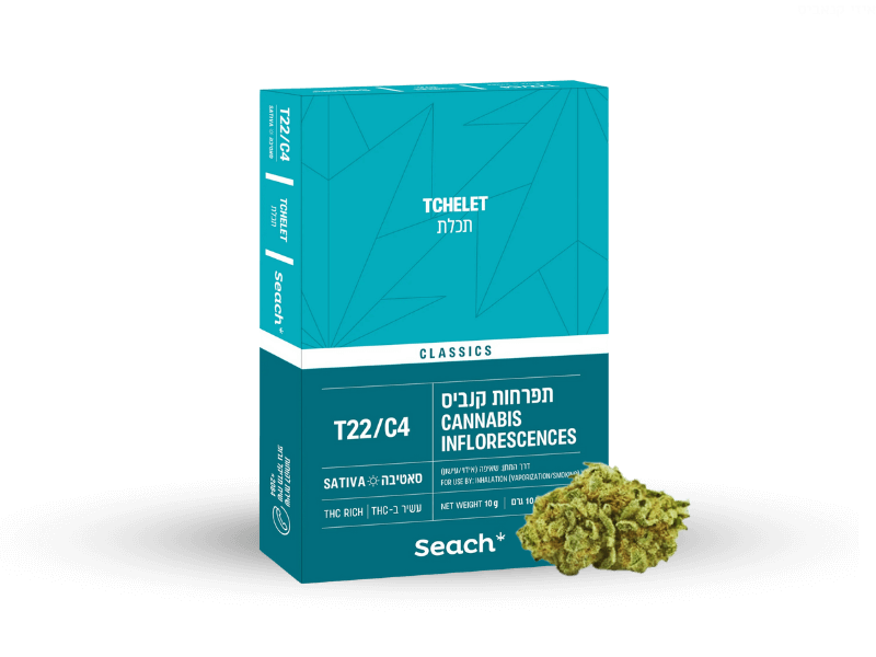 קנאביס רפואי תפרחת תכלת - T22/C4 - Tchelet שיח מדיקל יום - סאטיבה