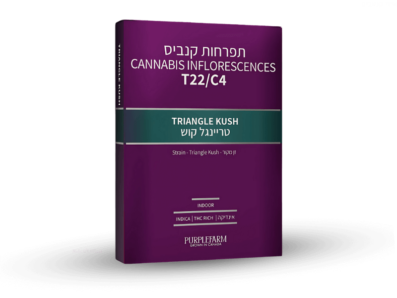 קנאביס רפואי תפרחת טריינגל קוש - T22/C4 - Triangle Kush קנדוק לילה - אינדיקה