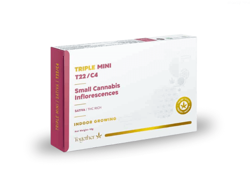 קנאביס רפואי תפרחת טריפל מיני - T22/C4 - Triple Mini טוגדר פארמה יום - סאטיבה