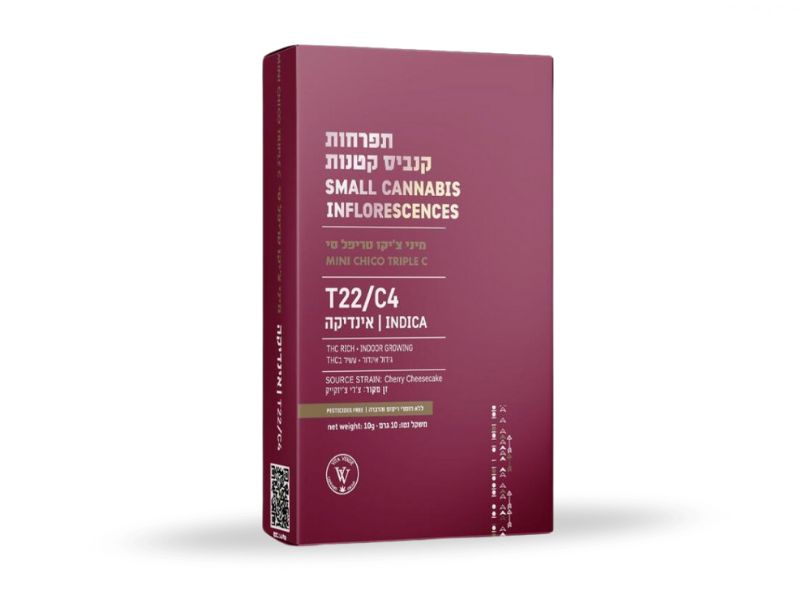קנאביס רפואי תפרחת טריפל סי צ'יקו מיני - T22/C4 - Triple C Chico Mini ויטה ורדה לילה - אינדיקה