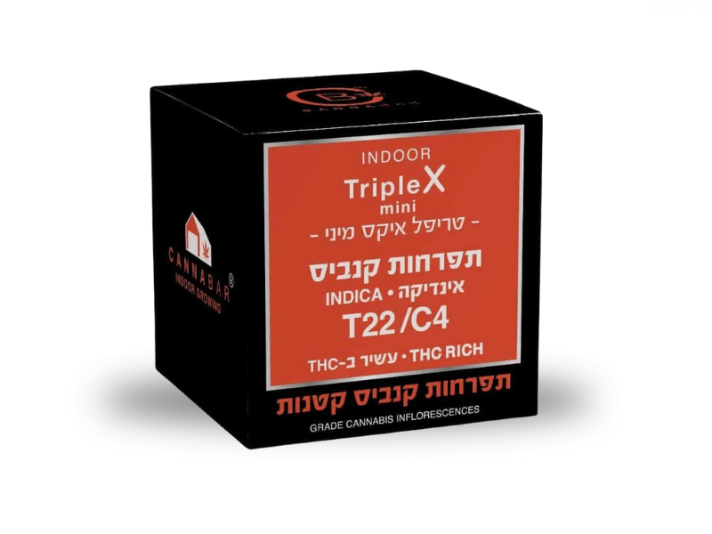 קנאביס רפואי תפרחת טריפל איקס מיני - T22/C4 - Triple X Mini קנאבר לילה - אינדיקה