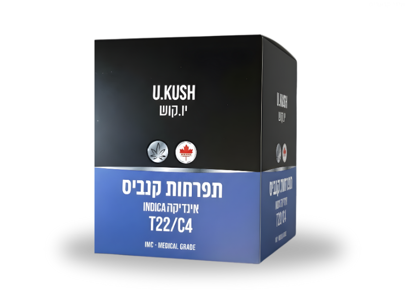 קנאביס רפואי תפרחת יו.קוש - T22/C4 - U.Kush גרין האוס לילה - אינדיקה