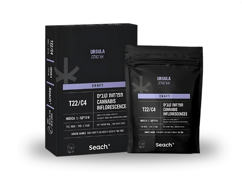 קנאביס רפואי תפרחת אורסולה - T22/C4 - Ursula שיח מדיקל לילה - אינדיקה