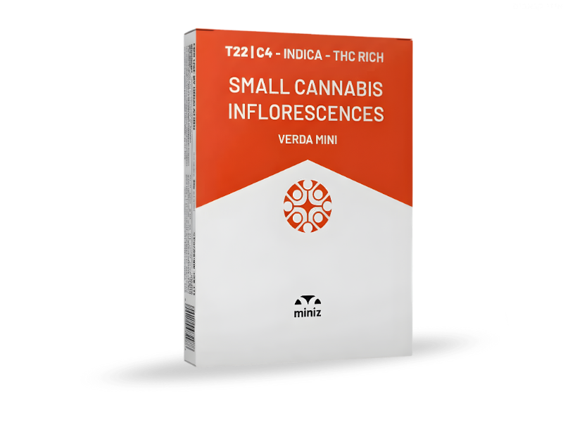 קנאביס רפואי תפרחת ורדה מיני - T22/C4 - Verda Mini קנדוק לילה - אינדיקה