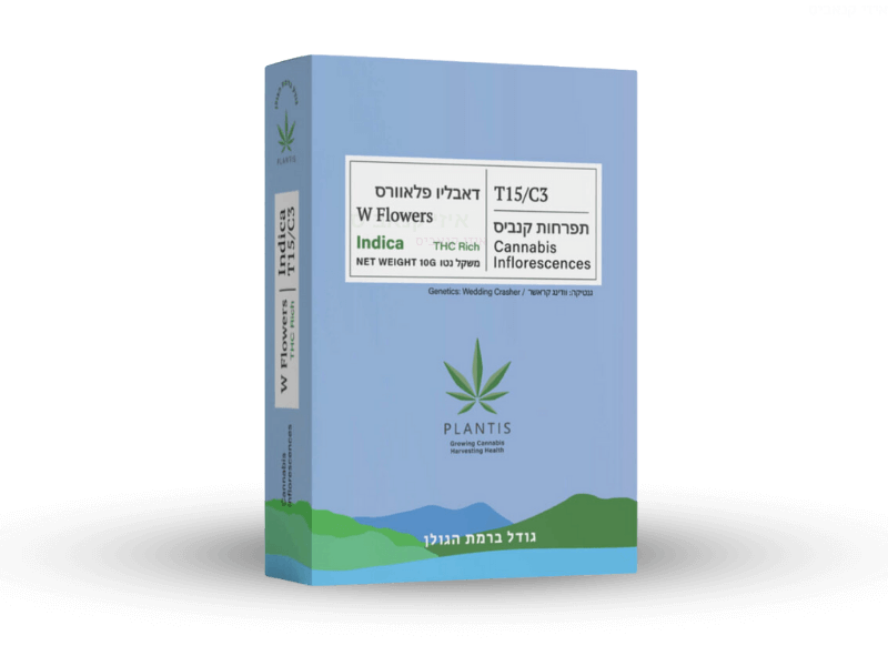 קנאביס רפואי תפרחת דאבליו פלאוורס - T15/C3 - W Flowers פלאנטיס לילה - אינדיקה