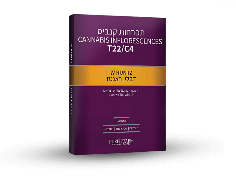 קנאביס רפואי תפרחת דאבליו ראנטס - T22/C4 - W Runtz קנדוק יום\לילה - היברידי