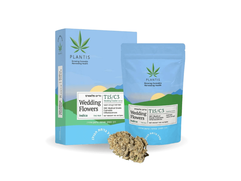 קנאביס רפואי תפרחת וודינג פלאוורס - T15/C3 - Wedding Flowers פלאנטיס לילה - אינדיקה
