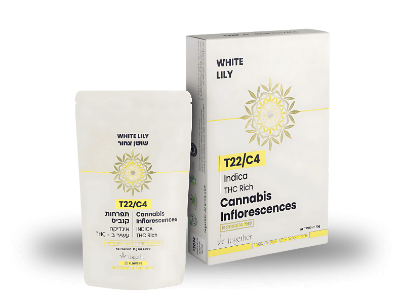 קנאביס רפואי תפרחת ווייט לילי - T22/C4 - White Lily טוגדר פארמה לילה - אינדיקה