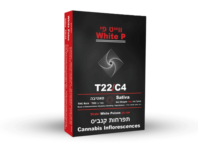 קנאביס רפואי תפרחת ווייט פי - T22/C4 - White P הרמוני יום - סאטיבה