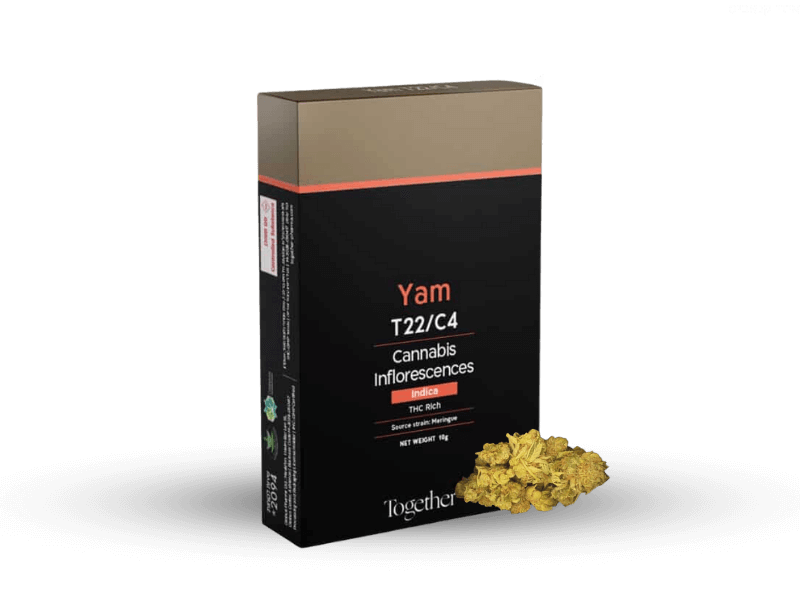קנאביס רפואי תפרחת ים מינון T22/C4 - Yam טוגדר פארמה לילה - אינדיקה