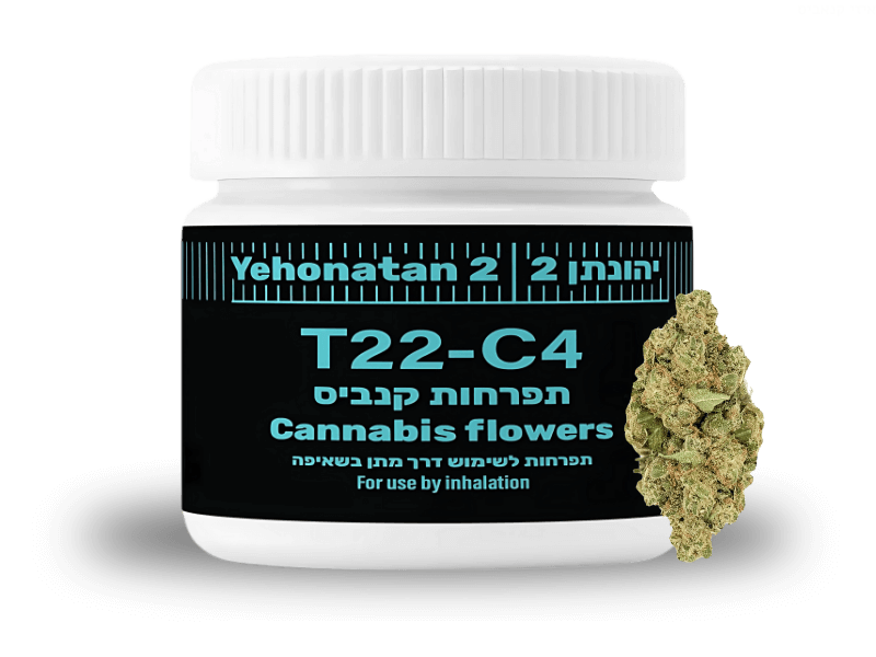 קנאביס רפואי תפרחת יהונתן 2 - T22/C4 - Yehonatan 2 דוד וגוליית יום - סאטיבה