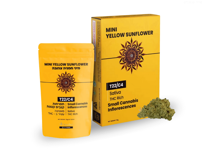 קנאביס רפואי תפרחת ילו סאנפלאוור מיני  - T22/C4 - Yellow Sunflower Mini טוגדר פארמה יום - סאטיבה