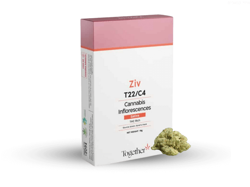קנאביס רפואי תפרחת זיו - T22/C4 - Ziv טוגדר פארמה יום - סאטיבה