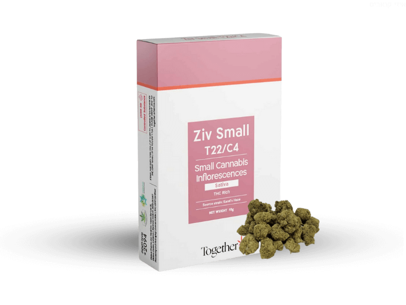 קנאביס רפואי תפרחת זיו סמול - T22/C4 - Ziv Small טוגדר פארמה יום - סאטיבה
