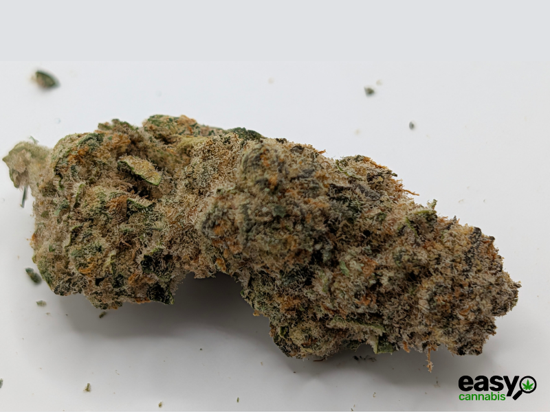 קנאביס רפואי תפרחת בלאק הוב - T22/C4 - BLACK HOB איי.אמ.סי לילה - אינדיקה