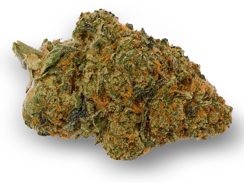 קנאביס רפואי תפרחת דון קוש - T22/C4 - DON KUSH איי.אמ.סי לילה - אינדיקה