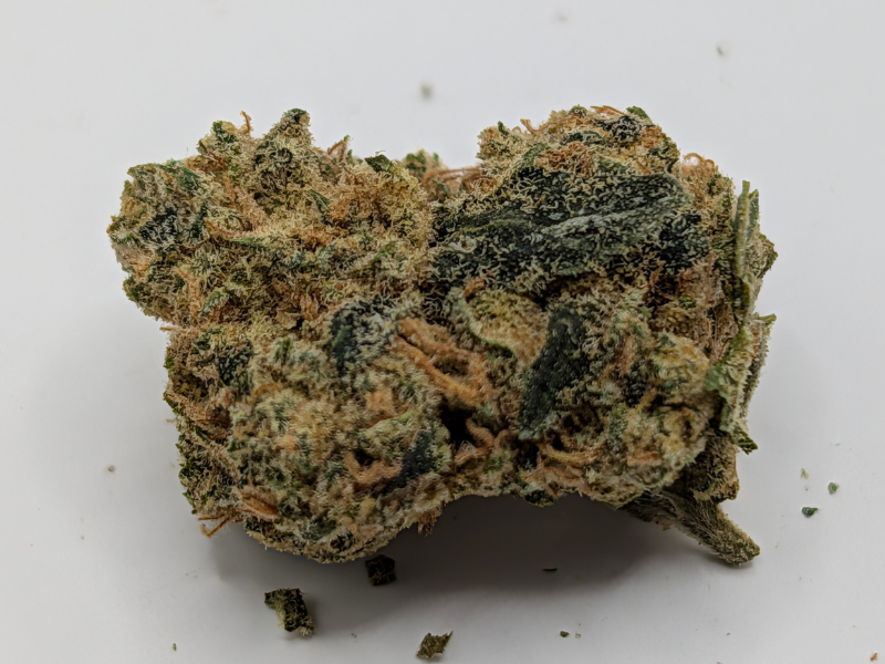 קנאביס רפואי תפרחת דון קוש - T22/C4 - DON KUSH איי.אמ.סי לילה - אינדיקה