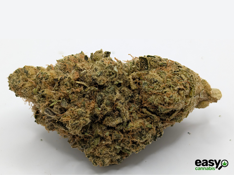 קנאביס רפואי תפרחת דון קוש - T22/C4 - DON KUSH איי.אמ.סי לילה - אינדיקה