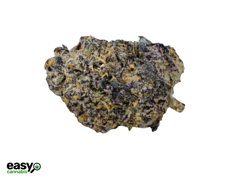 קנאביס רפואי תפרחת סולו א.ק.א - T22/C4 - SOLO A.K.A מדוקאן לילה - אינדיקה