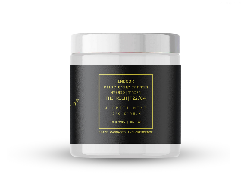 קנאביס רפואי תפרחת בי. בי פואגו מיני - T22/C4 - B.B. Fuego Mini קנאבר לילה - אינדיקה