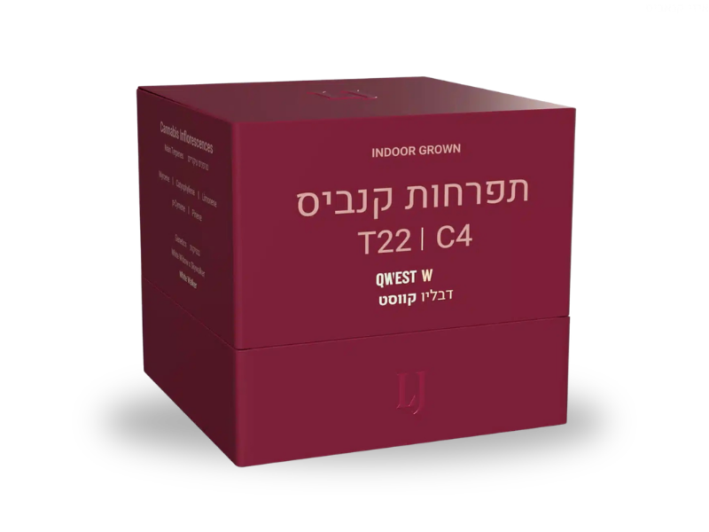 קנאביס רפואי תפרחת דבליו קווסט - T22/C4 - Qwest W פיס נטורלס לילה - אינדיקה