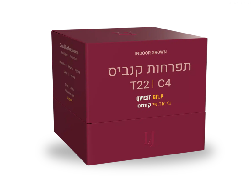 קנאביס רפואי תפרחת ג'י אר.פי קווסט - T22/C4 - Qwest GR.P פיס נטורלס לילה - אינדיקה