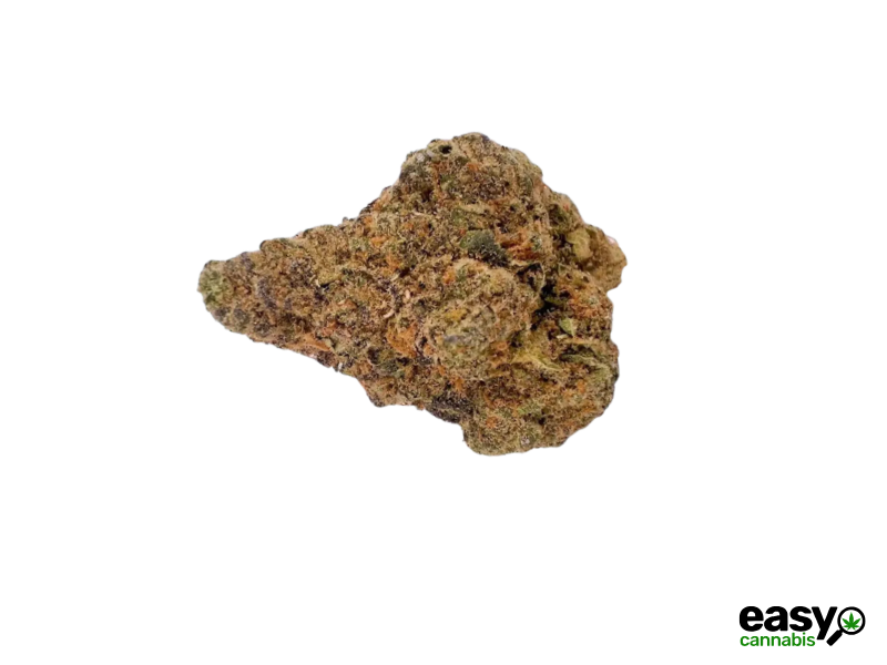 קנאביס רפואי תפרחת אורזקי - T22/C4 - Orzki שיח מדיקל לילה - אינדיקה