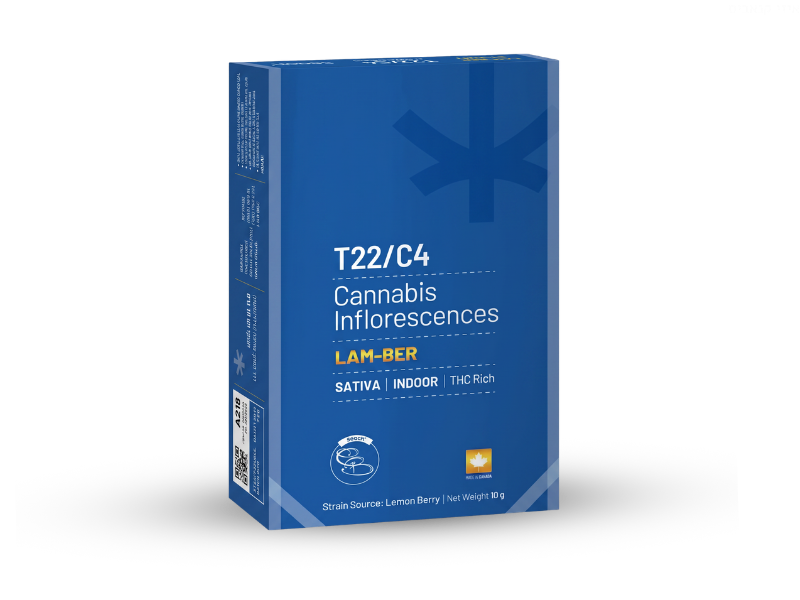 קנאביס רפואי תפרחת למ-בר - T22/C4 - Lam-Ber שיח מדיקל לילה - אינדיקה