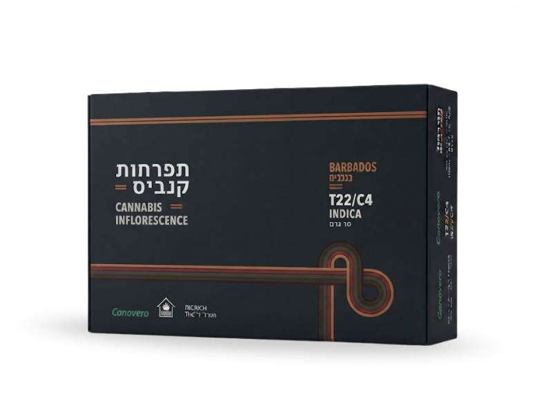 קנאביס רפואי תפרחת ברבדוס - T22/C4 - Barbados קנטק לילה - אינדיקה