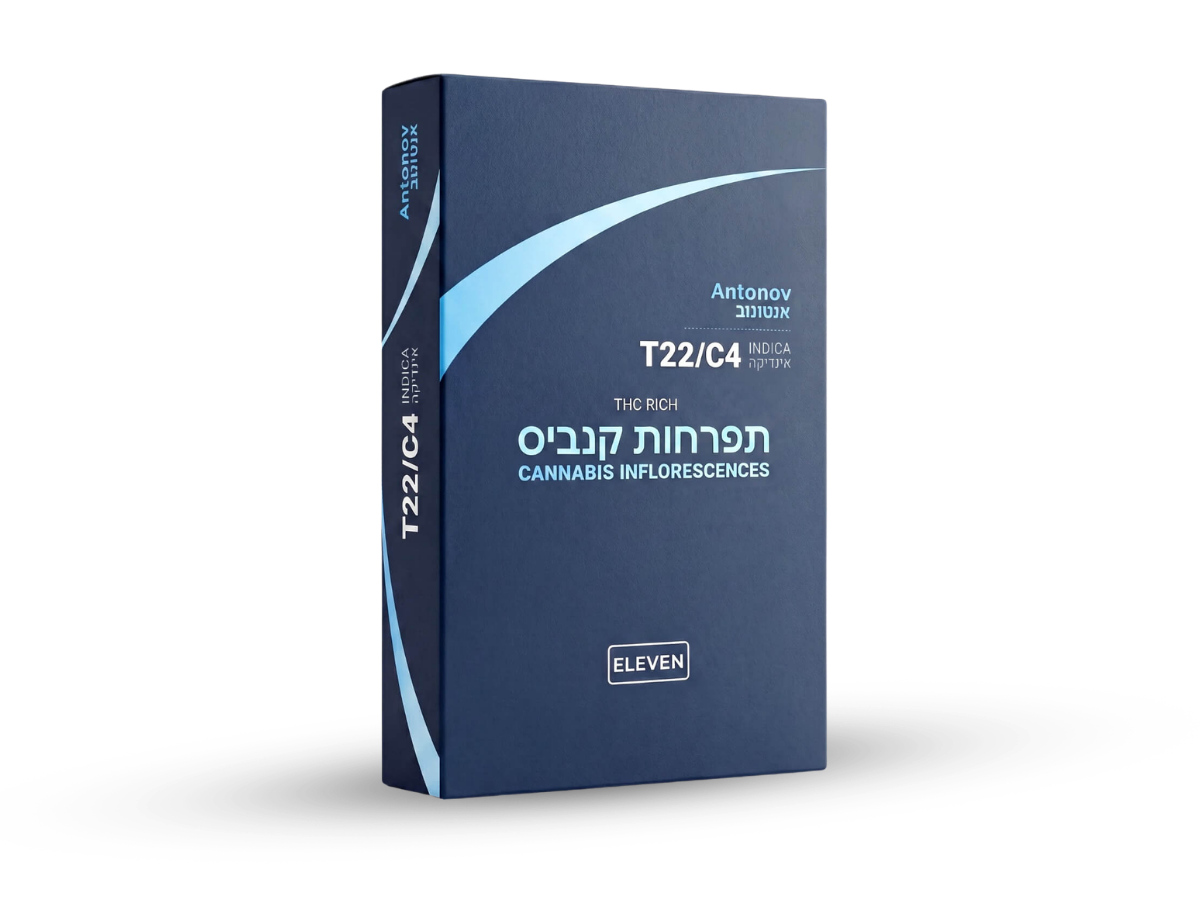קנאביס רפואי תפרחת אנטונוב - T22/C4 - Antonov גרינמד לילה - אינדיקה
