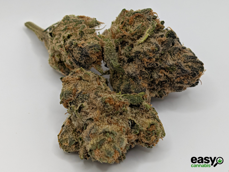 קנאביס רפואי תפרחת מד דוג - T22/C4 - Mad Dog גרינקום לילה - אינדיקה