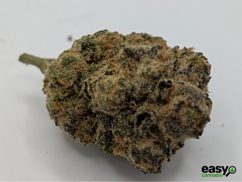 קנאביס רפואי תפרחת מד דוג - T22/C4 - Mad Dog גרינקום לילה - אינדיקה