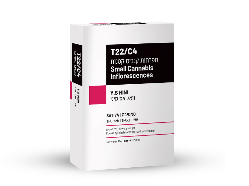 קנאביס רפואי תפרחת וואי.אס מיני - T22/C4 - Y.S Mini שיח מדיקל יום - סאטיבה