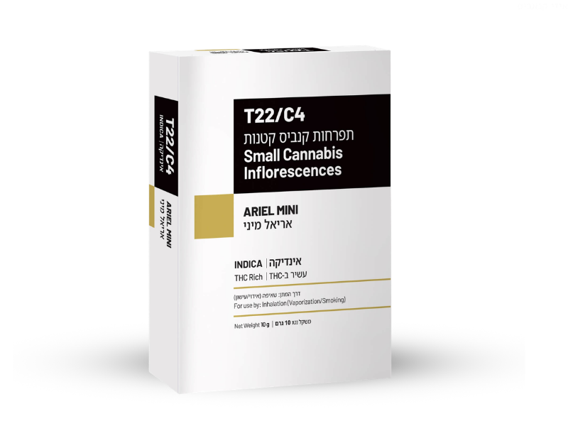 קנאביס רפואי תפרחת אריאל מיני - T22/C4 - ARIEL MINI שיח מדיקל לילה - אינדיקה