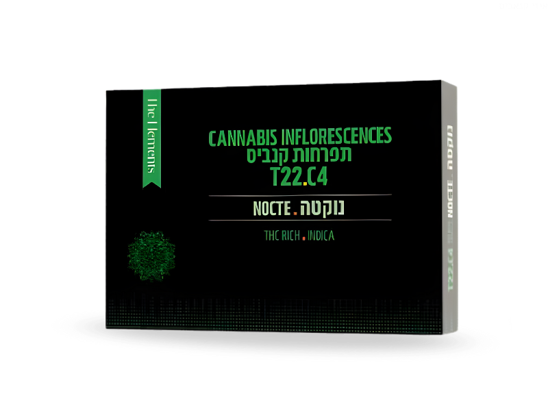 קנאביס רפואי תפרחת נוקטה - T22/C4 - Nocte בזלת פארמה לילה - אינדיקה