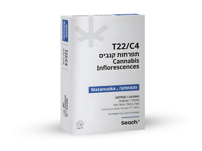 קנאביס רפואי תפרחת מטנוסקה - T22/C4 - Matanuska שיח מדיקל יום - סאטיבה