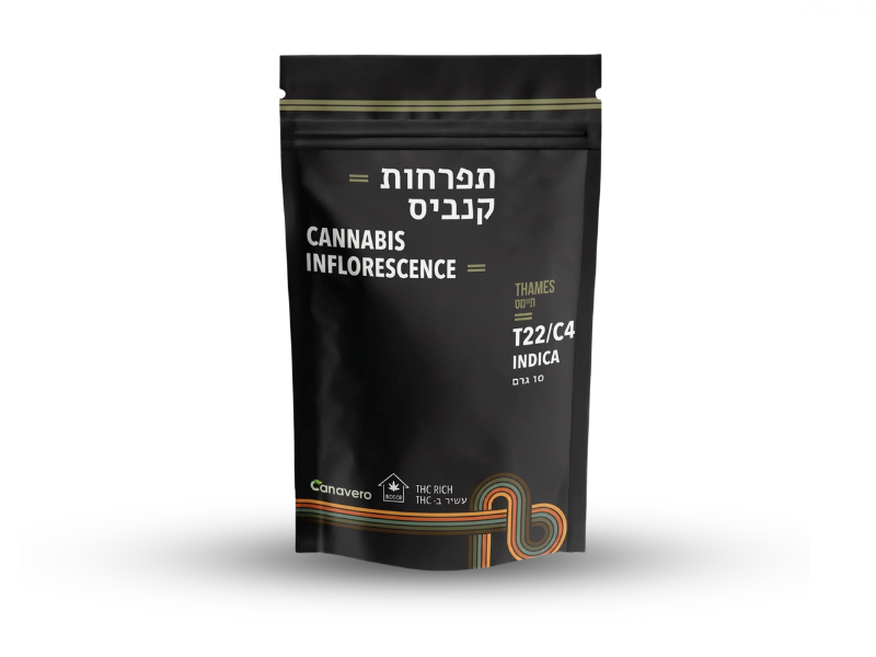 קנאביס רפואי תפרחת טיימס - T22/C4 - Thames קנטק לילה - אינדיקה