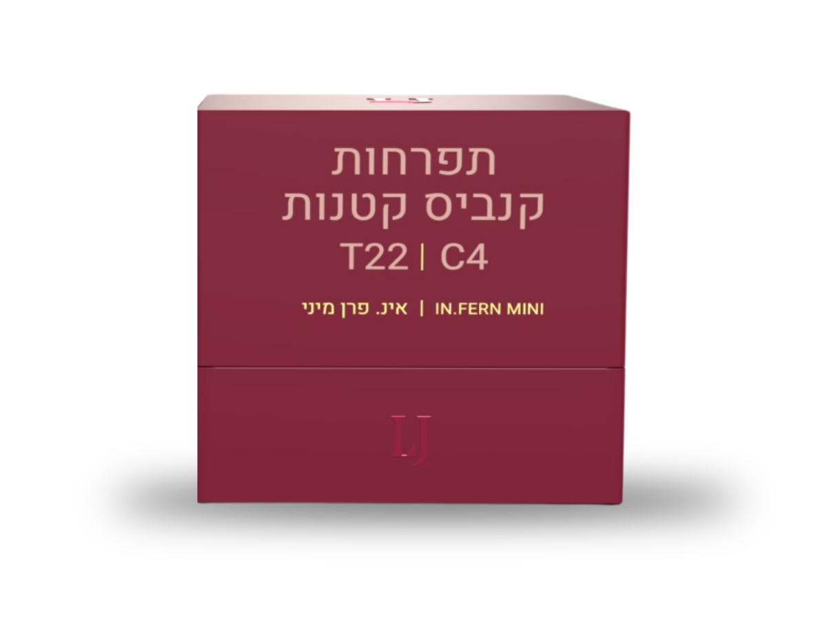 קנאביס רפואי תפרחת אינ. פרן מיני - T22/C4 - In.Fern Mini קרונוס לילה - אינדיקה