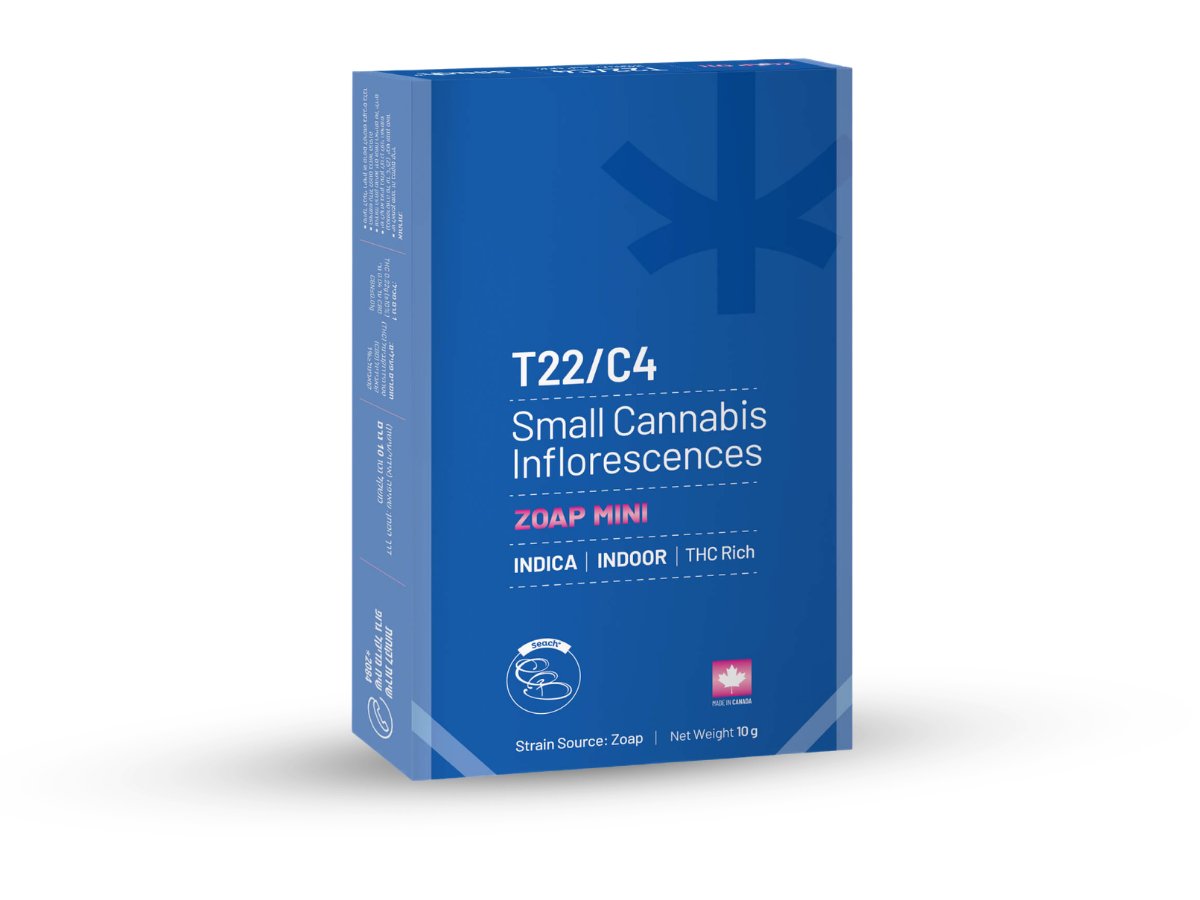 קנאביס רפואי תפרחת זופ מיני - T22/C4 - Zoap Mini שיח מדיקל לילה - אינדיקה