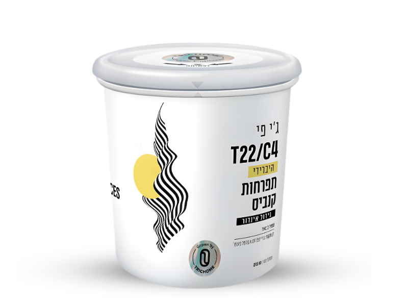 קנאביס רפואי פחית ג'י פי (GP) - T22/C4 - GP טריכום יום\לילה - היברידי